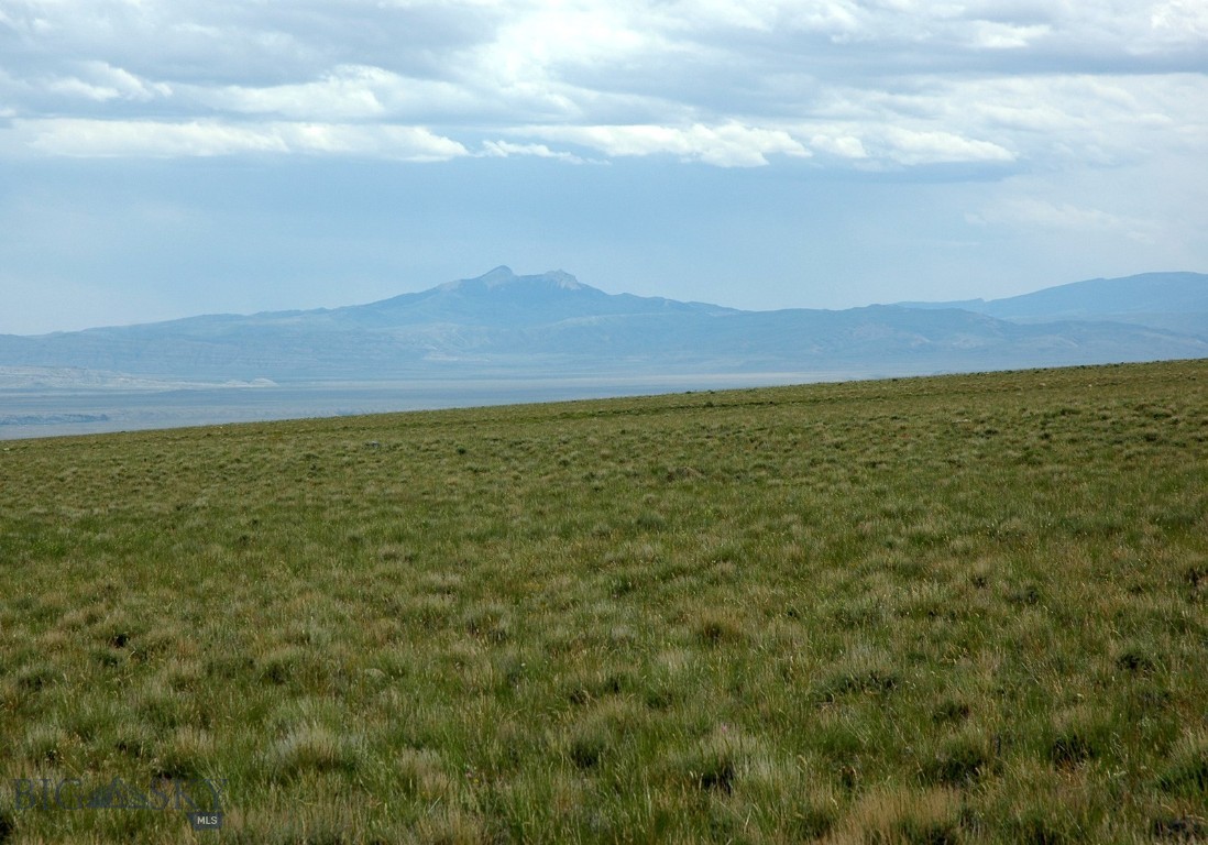 Other - Land