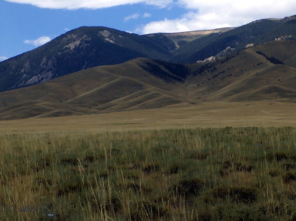 Escape to the Big Sky of Montana! These remote 39.8 acres offer Huge Beartooth Mountain views and are only a mile from the National Forest! Located on the flanks of the Beartooth Mountainss, it is a great location for your cabin where you can watch the sunrise and sunsets far from the city lights. The views surround you... the Beartooth Mountains to the west, Heart mountain and the Absarokas to the south and the Bighorns and Pryors to the east across the Clark's Fork of the Yellowstone River Valley! Hwy 72 is 9 miles to the east & Belfry 17 miles to the north. Some folks live in the area year-round, but the county only maintains Robertson Draw road as a low priority, so snow plowing may be needed in the winter. Power & phone are over 4 miles away, but lots of sun for solar! Wildlife in the area includes antelope, elk, deer, bears, grizzlies, wolves & sage grouse, while higher up moose, mountain goats and bighorn sheep. Mild covenants, but no HOA. Additional 20 acres is available to south for a total of 59.8 acres.