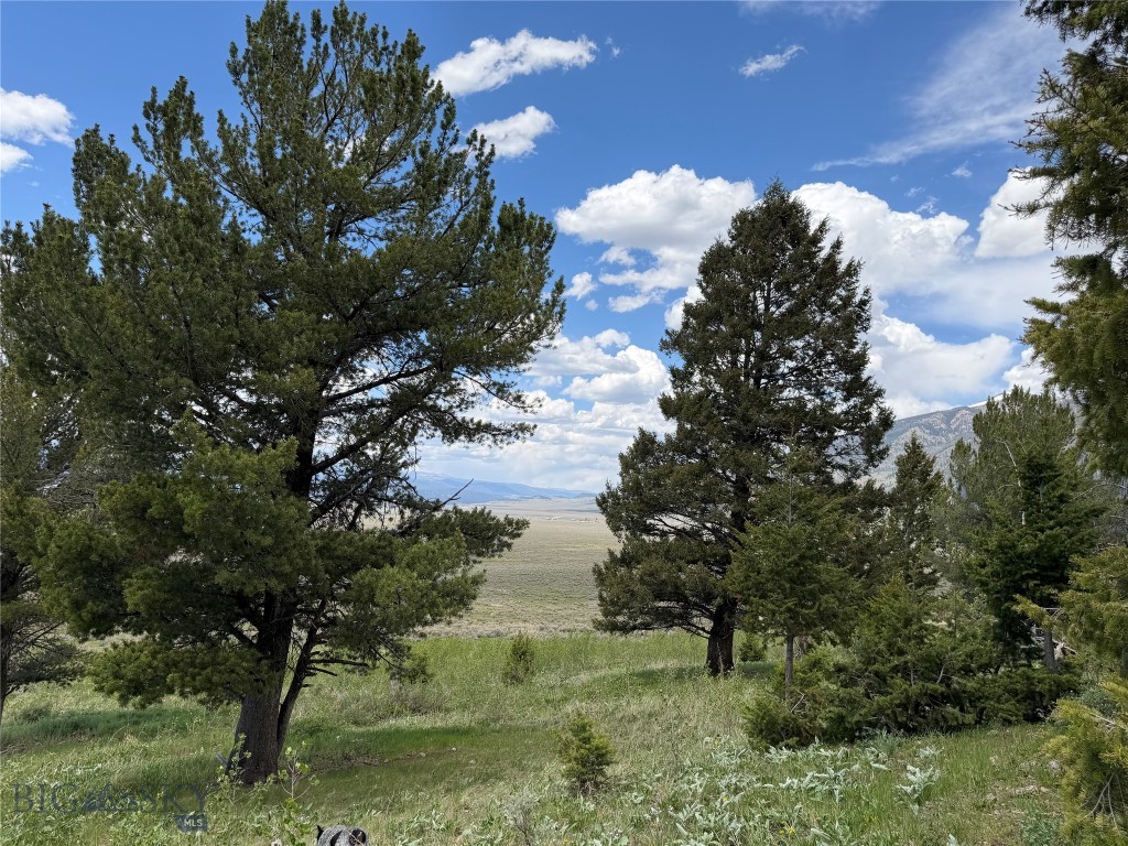 39+ acres bordering National Forest Service with mature fir trees, aspen trees, massive mountain views, underground power, Fiber Optics, and end of the road privacy......this could be the perfect place for your new home! The trees help add to being tucked in for added privacy. There are multiple trailheads giving you access (via horseback, mountain bikes, or your Chevrolegs) that often lead to high mountain lakes.  You also are close to Quake Lake, Hebgen, Wade & Cliff Lakes and only minutes to the Madison River.  Fish in the spring, kayak in the summer, hunt in the fall, snowmobile in the winters.....this is truly a sportsman's paradise!