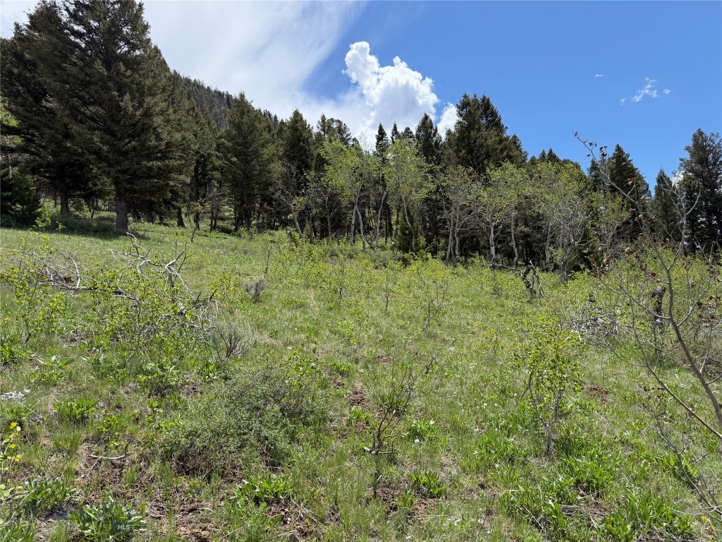 Continental Divide Sub. - Land