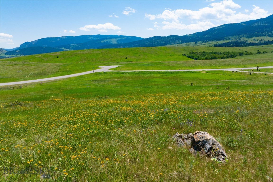 The Preserve at Aspen Springs - Land