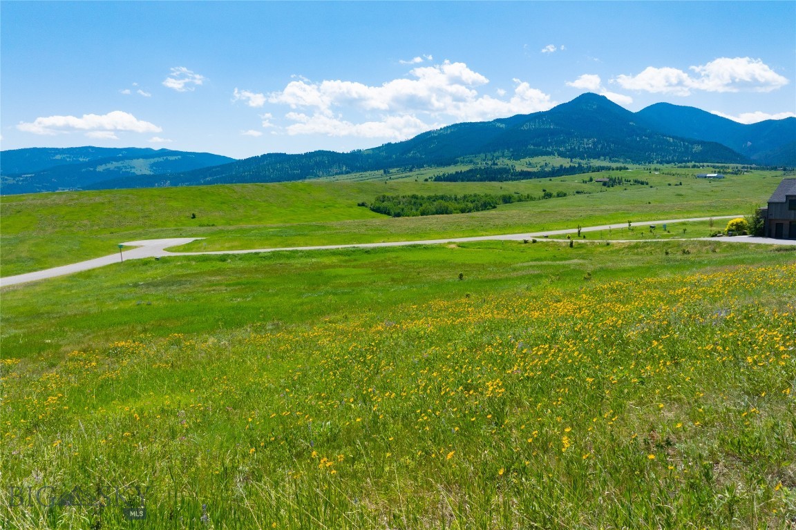 The Preserve at Aspen Springs - Land