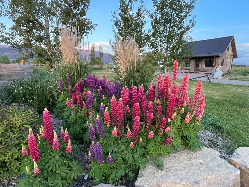 Ross Creek - Residential