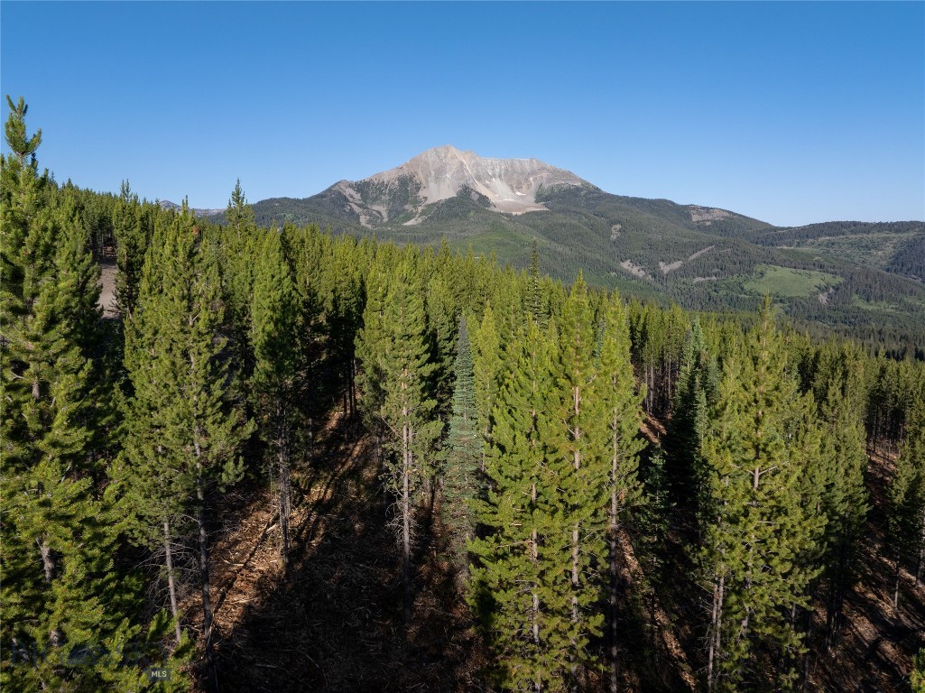 Moonlight Basin West 1 - Land