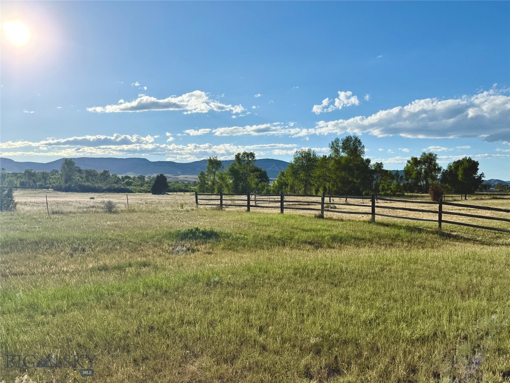Ponderosa Pines - Residential