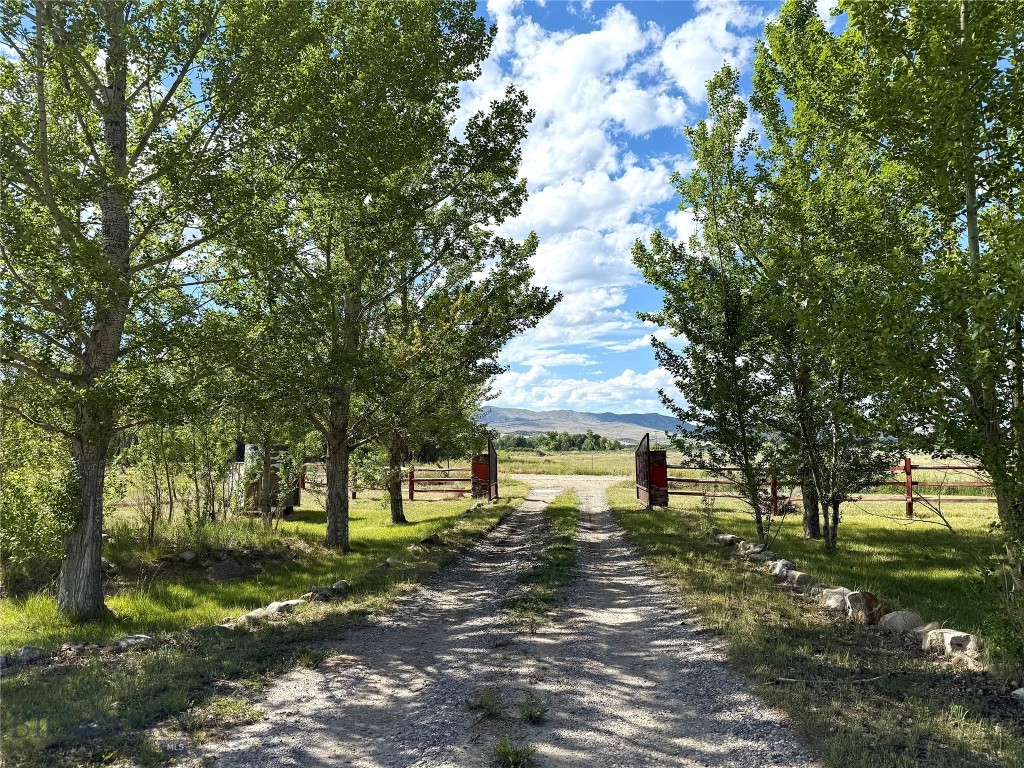 Ponderosa Pines - Residential