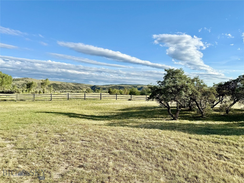 Ponderosa Pines - Residential
