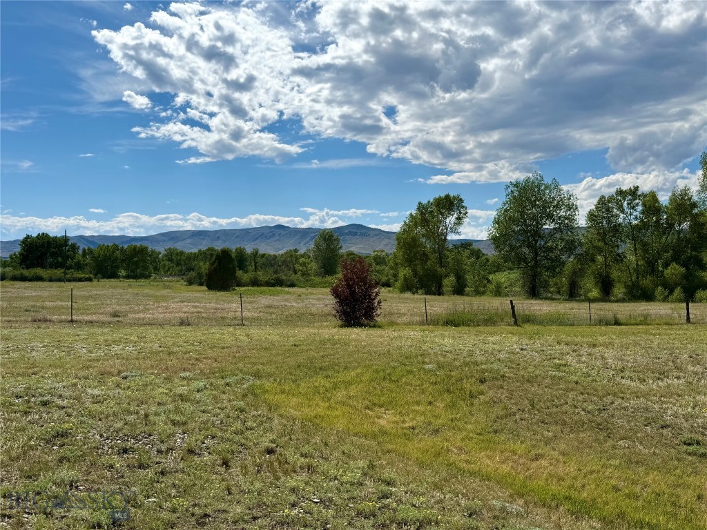Ponderosa Pines - Residential