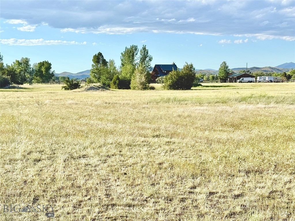 Ponderosa Pines - Residential