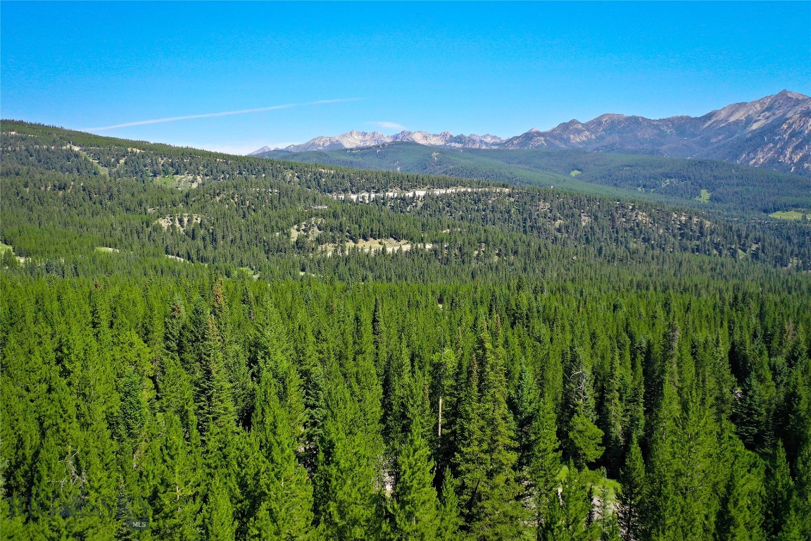 Wildridge Neighborhood - Land
