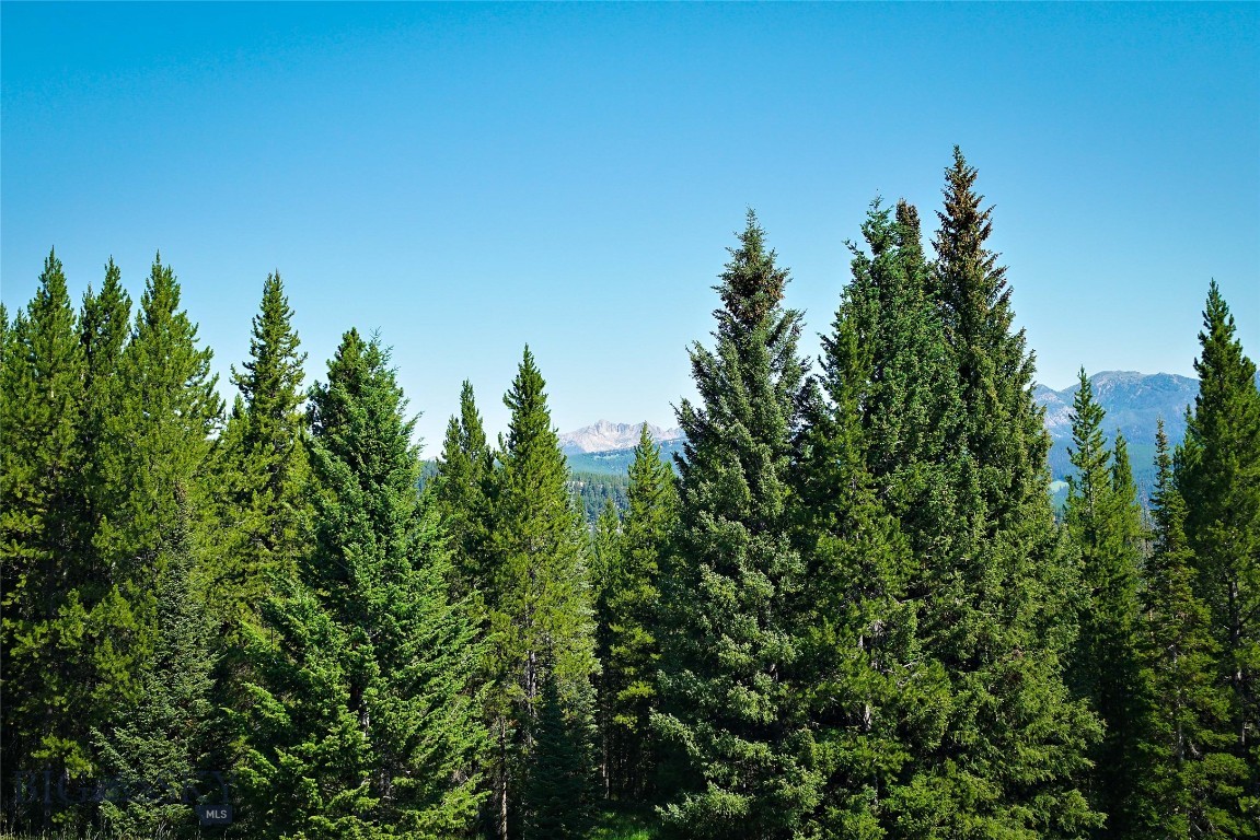 Wildridge Neighborhood - Land