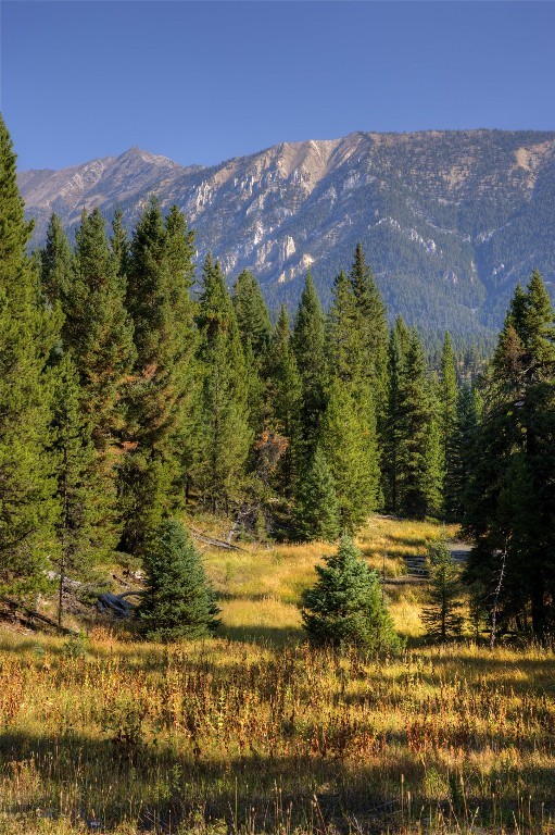 Spring Creek Reserve Neighborhood - Land