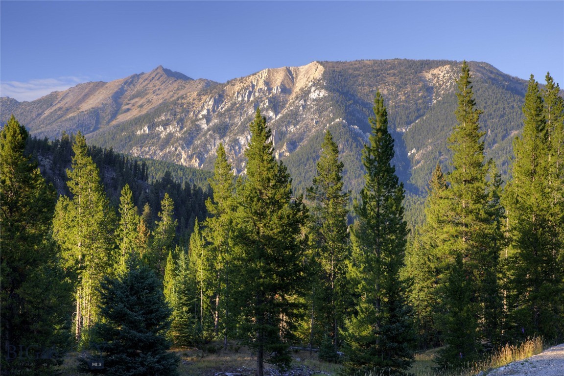 Spring Creek Reserve Neighborhood - Land