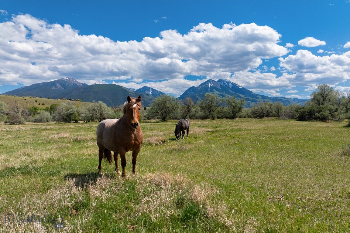 Emigrant Meadows - Land