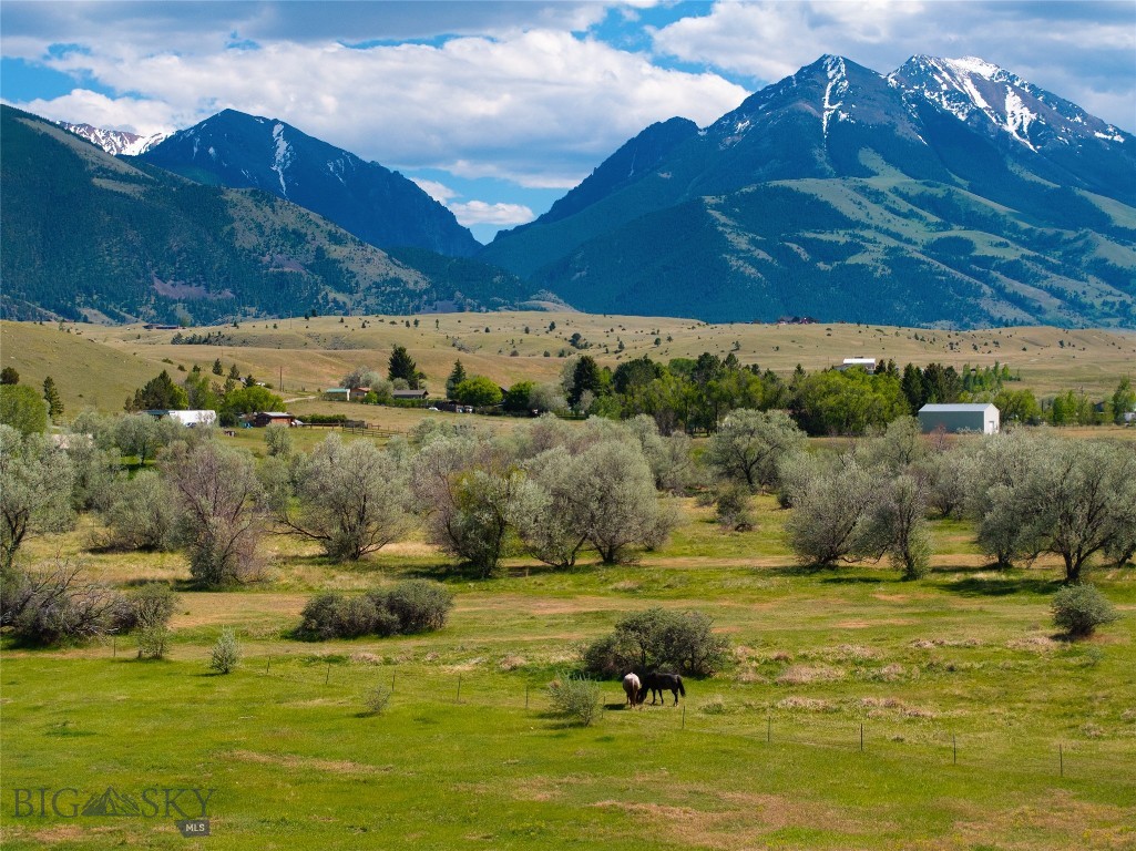 Emigrant Meadows - Land
