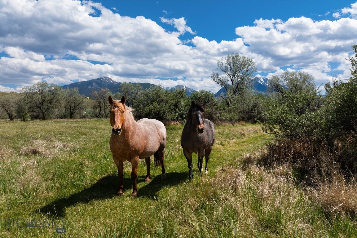 Emigrant Meadows - Land