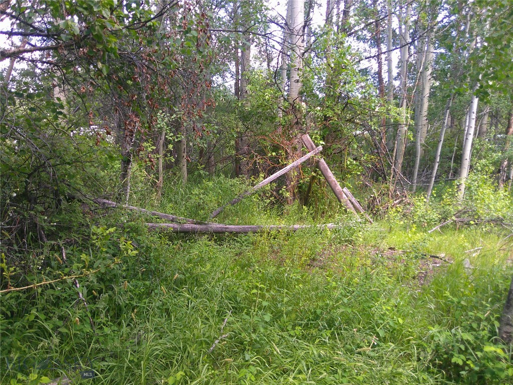 Other - Land