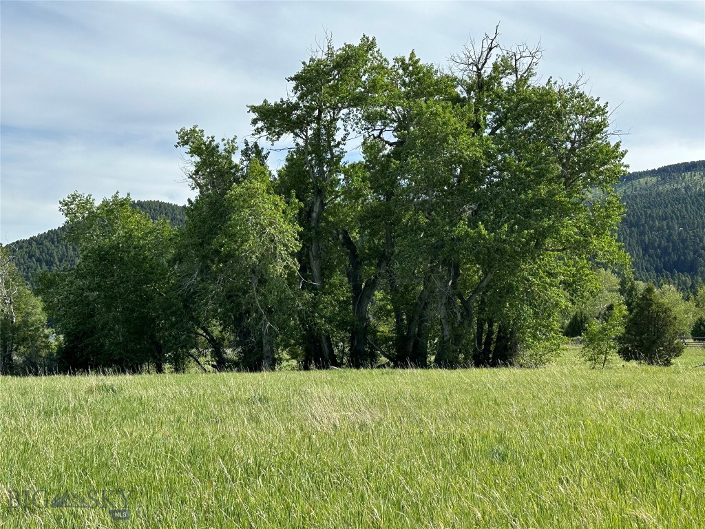 Stone Ridge Views - Land