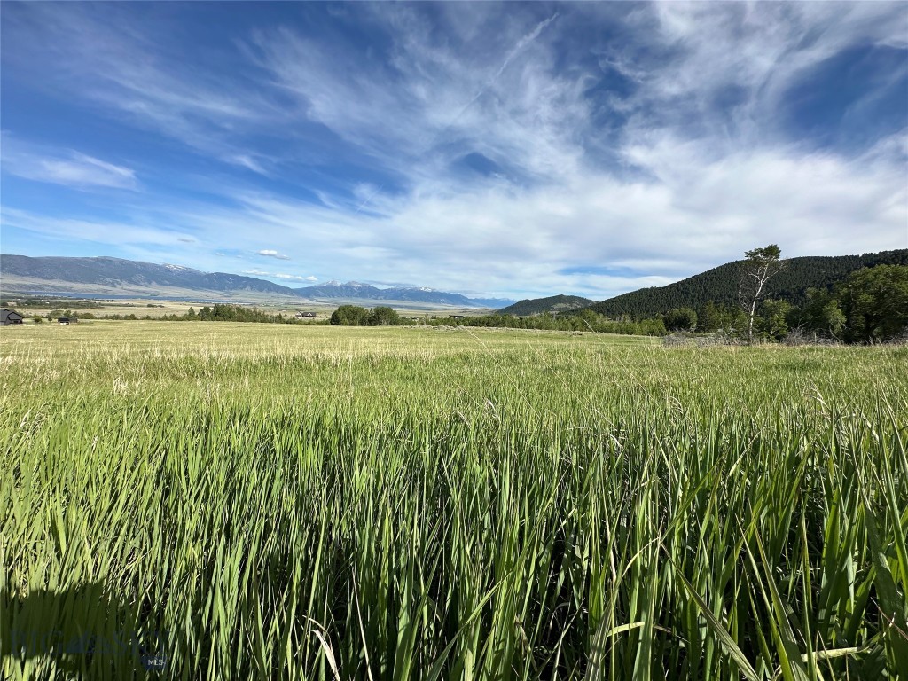 Stone Ridge Views - Land
