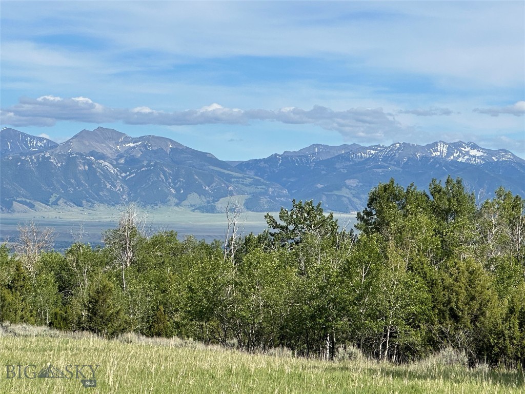 Stone Ridge Views - Land