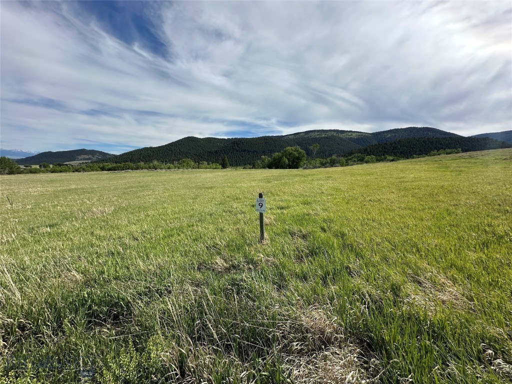 Stone Ridge Views - Land