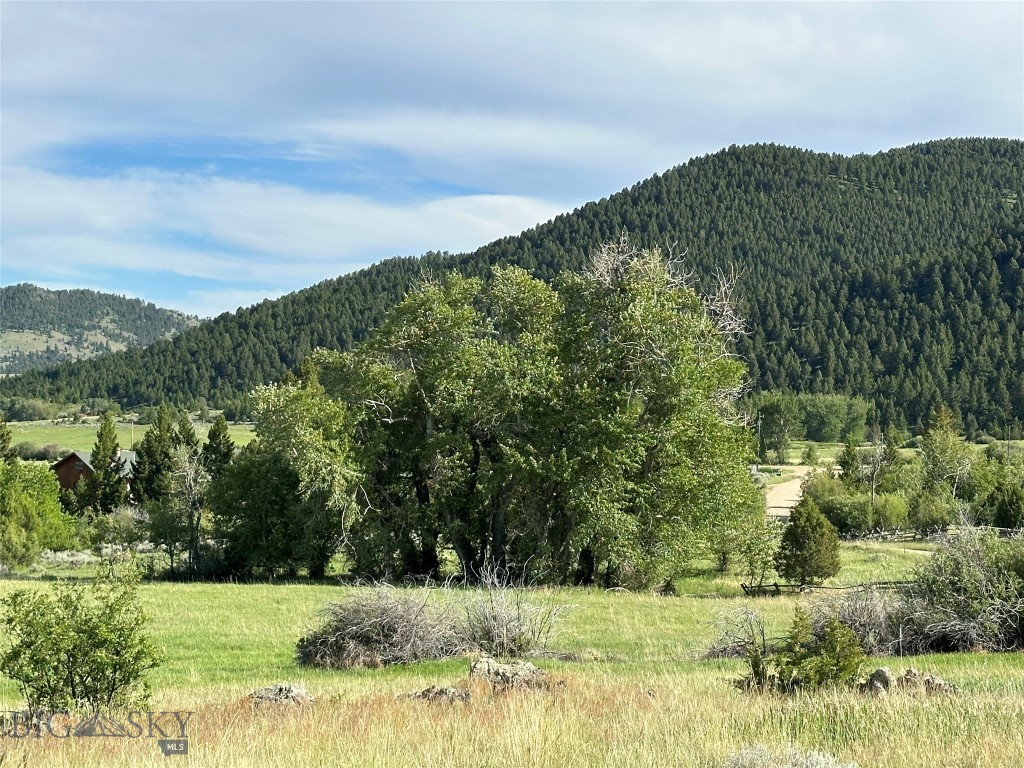 Stone Ridge Views - Land
