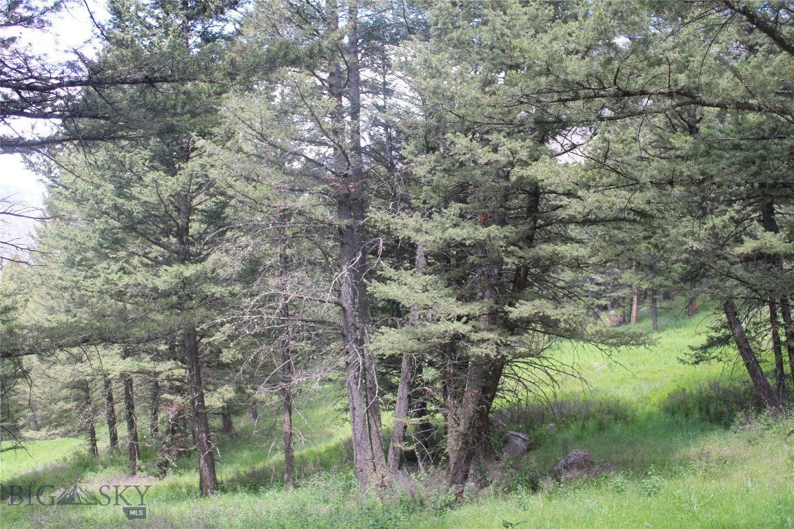 Mountain Meadows Estates - Residential