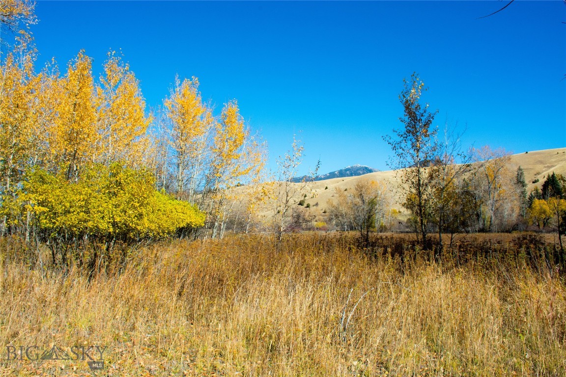 Northern Pacific Addition - Land