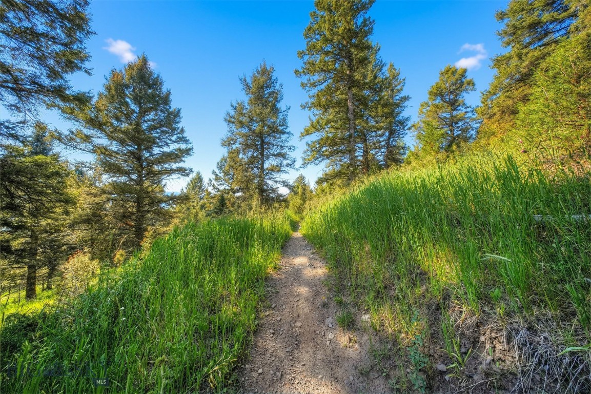 Blackfoot Hills - Land