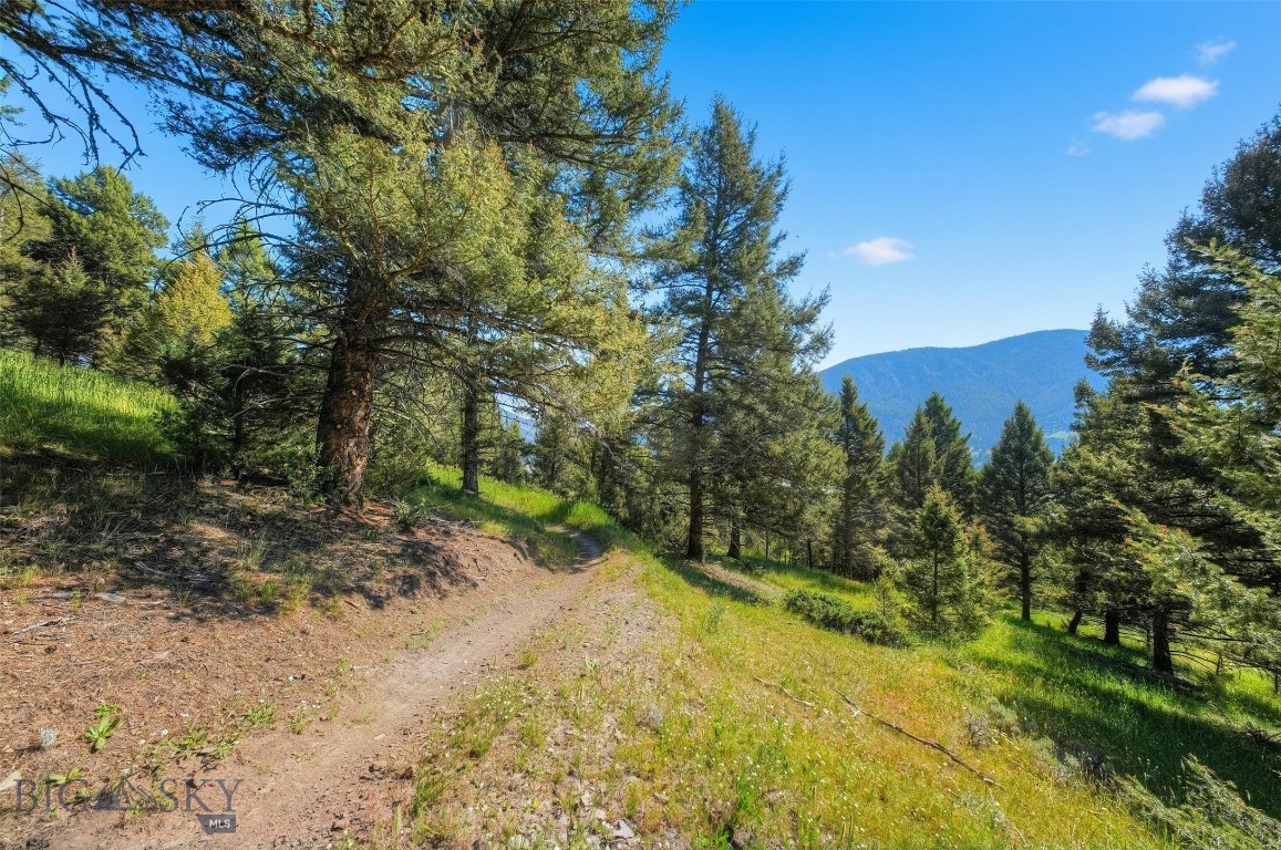 Blackfoot Hills - Land