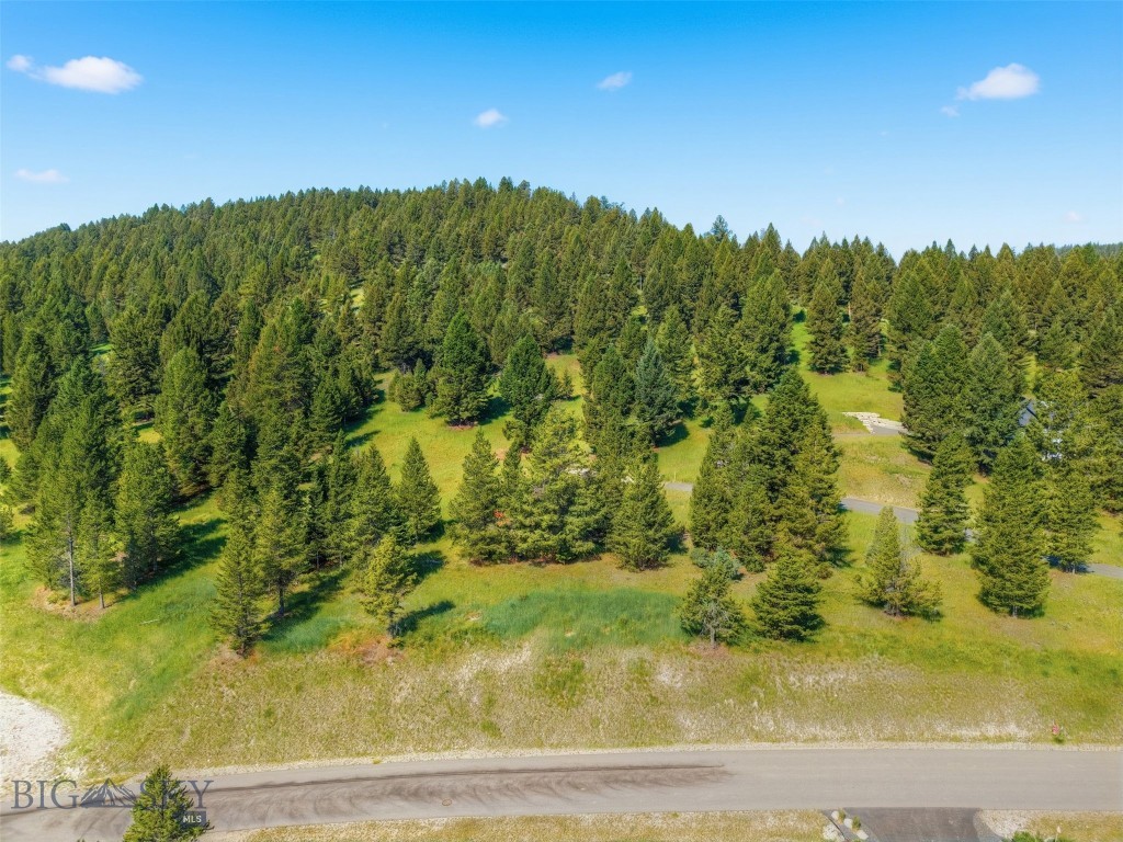 Blackfoot Hills - Land
