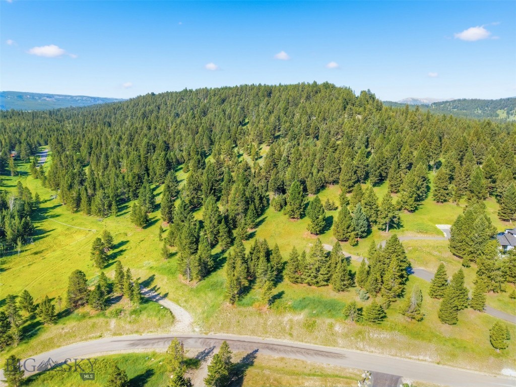 Blackfoot Hills - Land