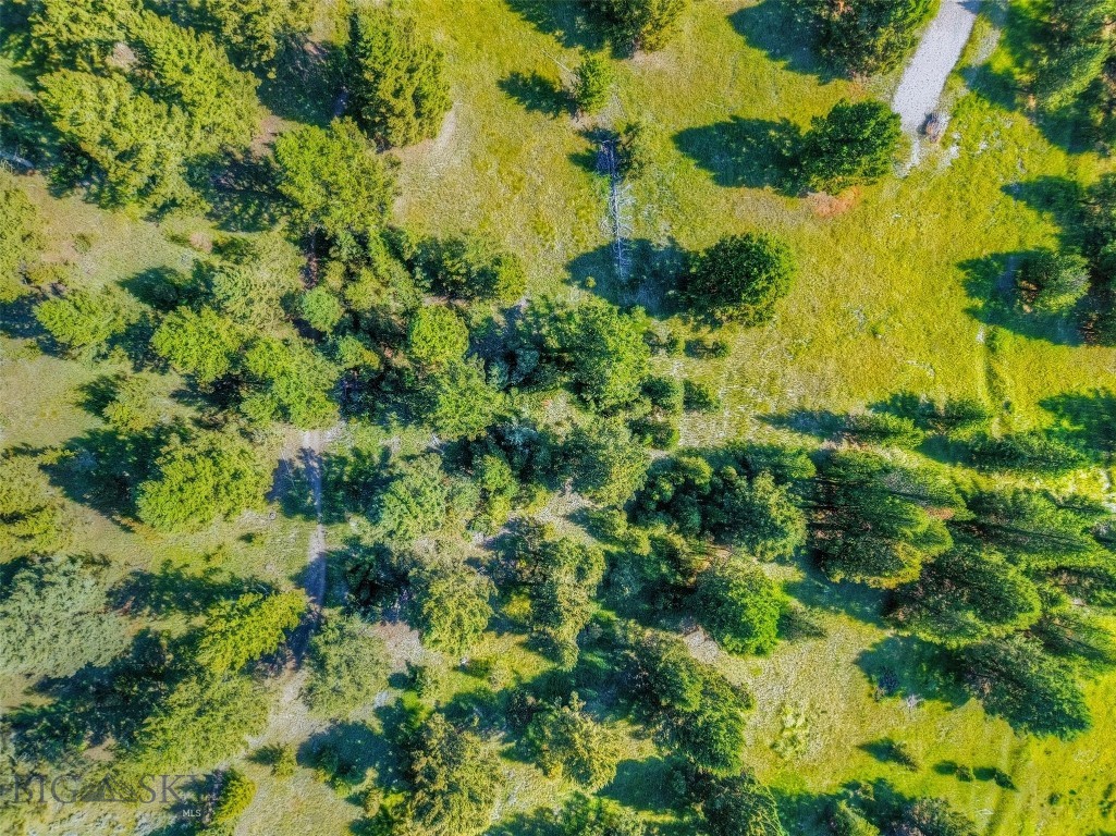 Blackfoot Hills - Land