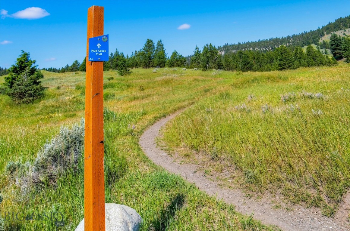 Blackfoot Hills - Land