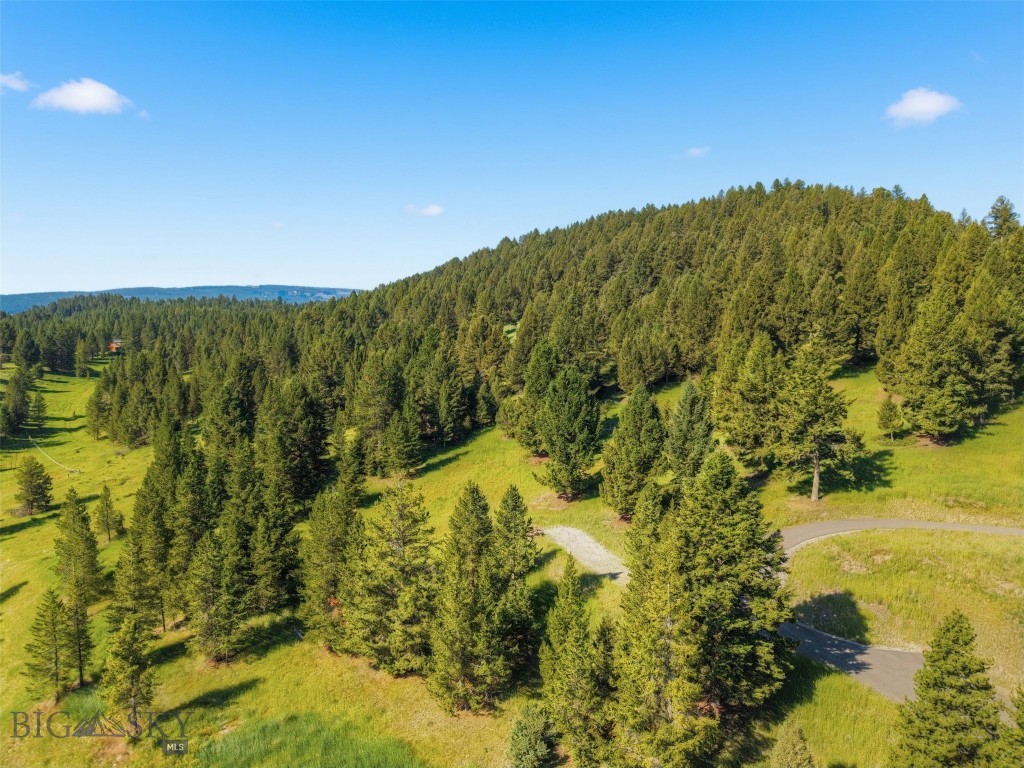 Blackfoot Hills - Land