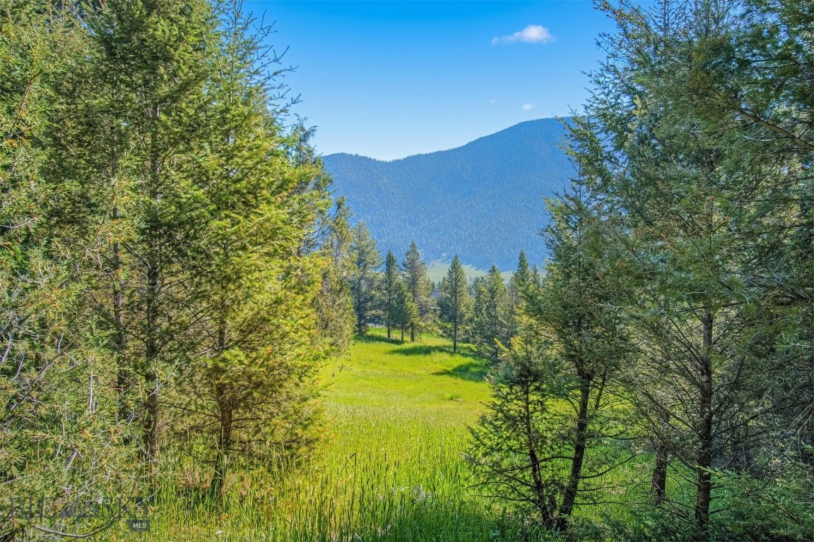 Blackfoot Hills - Land