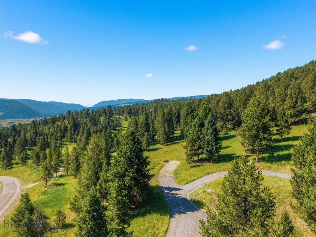 Blackfoot Hills - Land