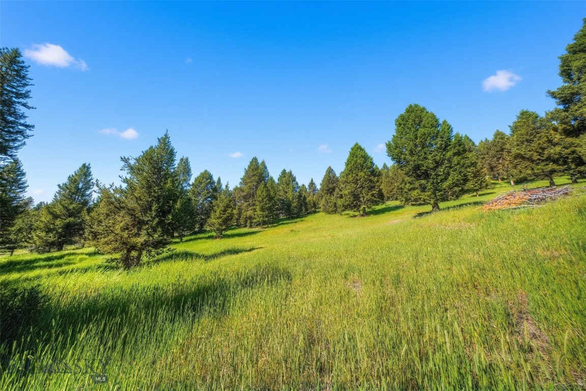 Blackfoot Hills - Land