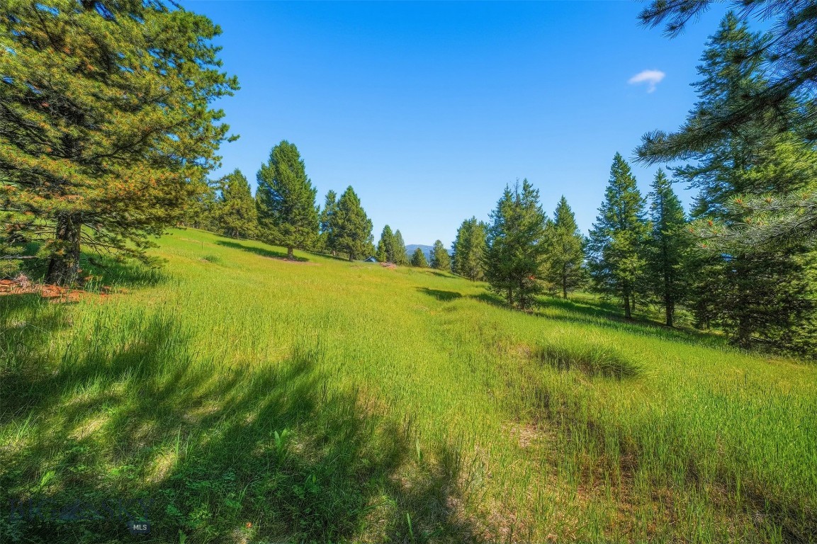 Blackfoot Hills - Land