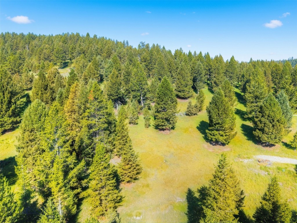 Blackfoot Hills - Land