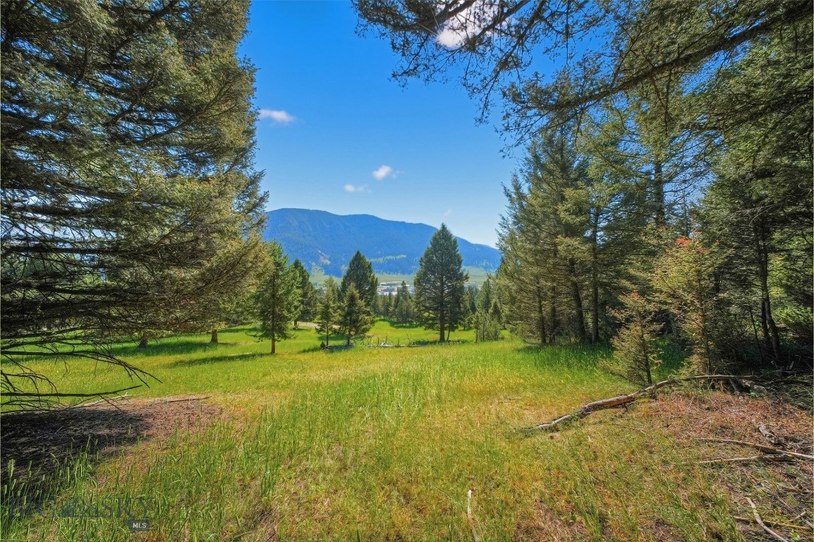 Blackfoot Hills - Land