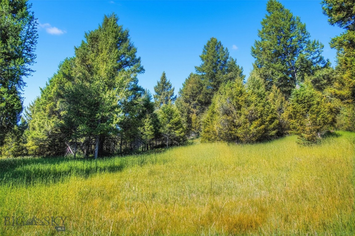 Blackfoot Hills - Land