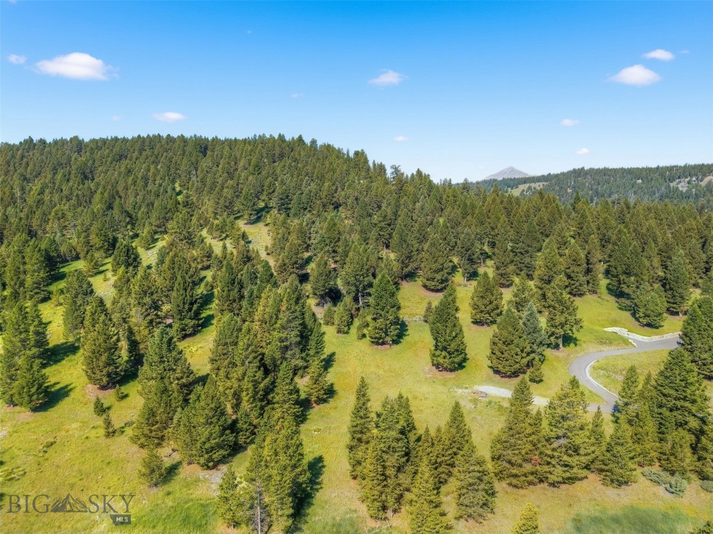 Blackfoot Hills - Land