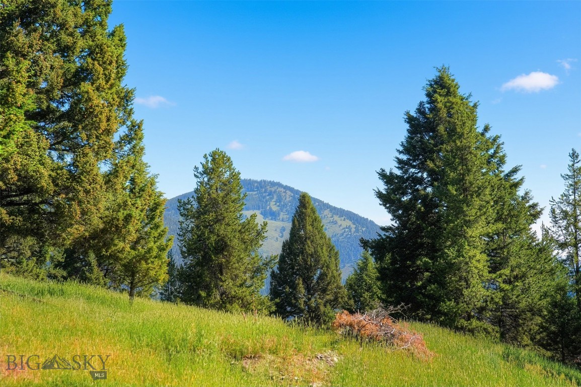 Blackfoot Hills - Land