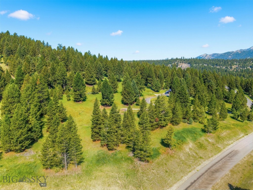 Blackfoot Hills - Land
