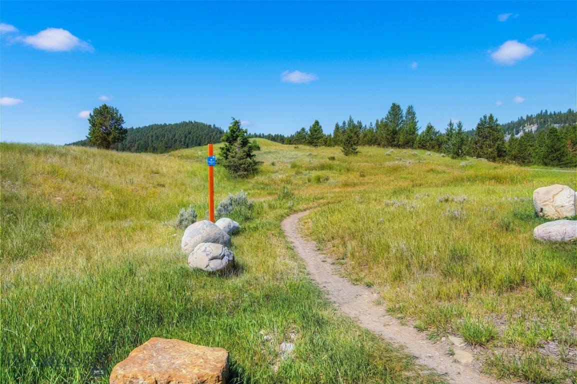 Blackfoot Hills - Land