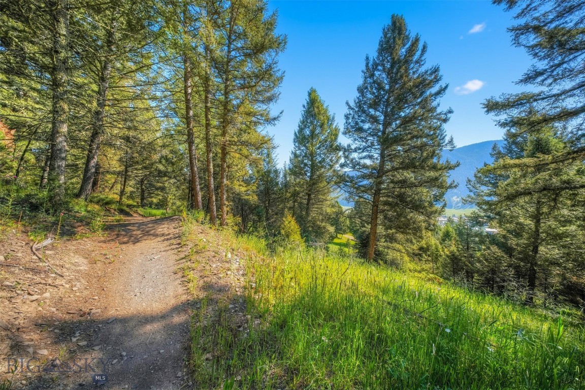 Blackfoot Hills - Land