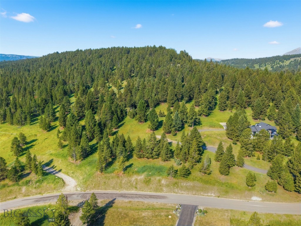 Blackfoot Hills - Land