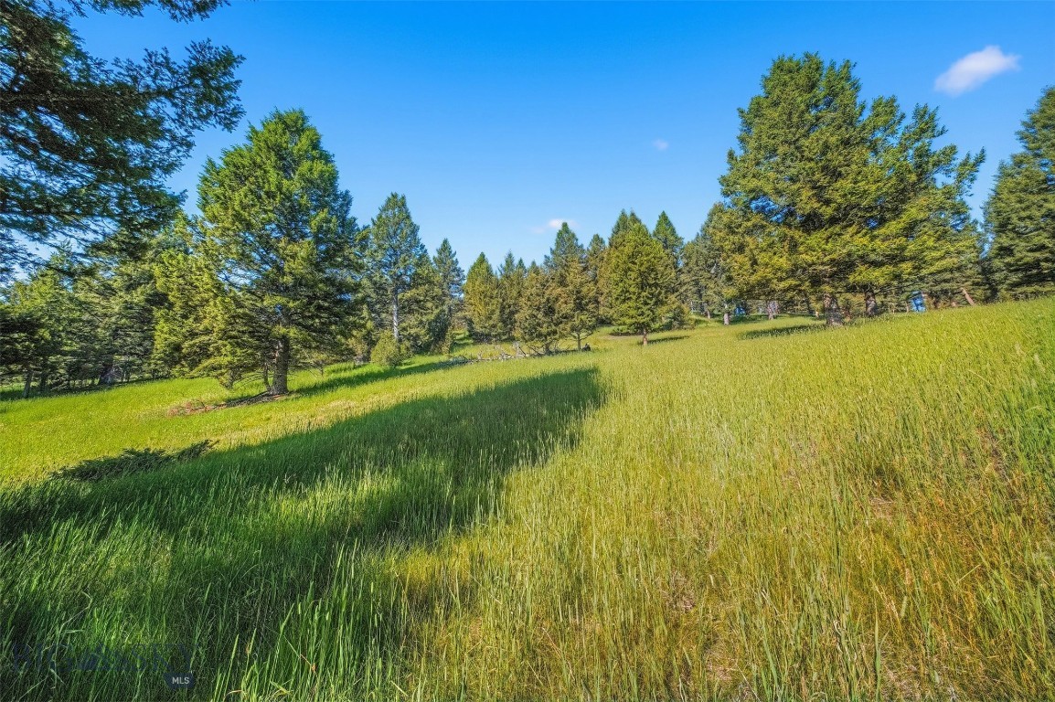 Blackfoot Hills - Land