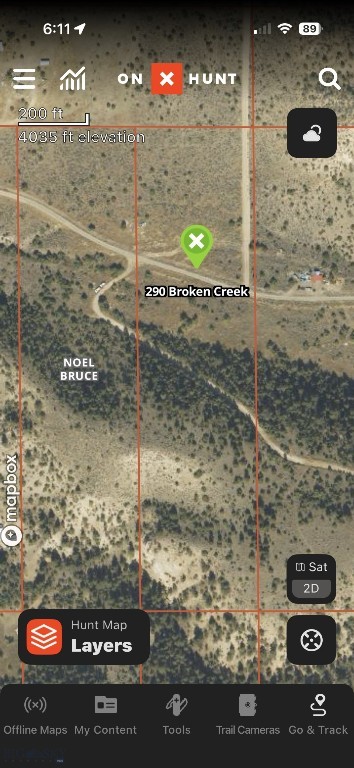 Ponderosa Pines - Land